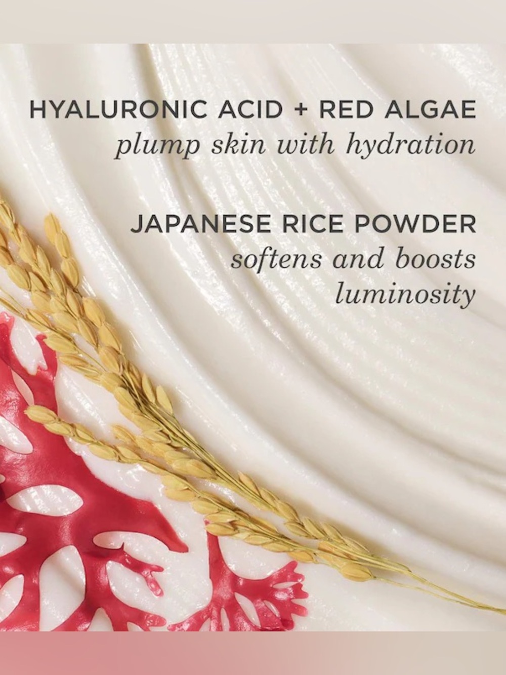 Tatcha Rice Cleanser - Picture 5 of 6